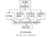 涪陵红心萝卜主要性状相关及通径分析