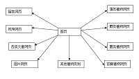 植物网站设计与制作