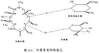 （写作生物工程论文）耐汞菌种的筛选及其生物特性的研究