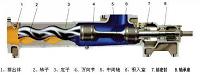 G40-1单螺杆泵设计