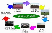 黑龙江省大中型拖拉机预测方法的研究