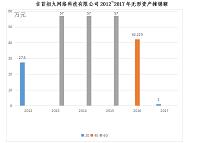 吉首初九网络科技有限公司无形资产的管理与核算设计