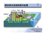 环境工程污水处理毕业设计怎么写？请人代做一般价格多少？