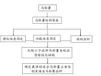 青海省不同品种马铃薯全粉的品质及结构分析