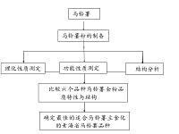 青海省不同品种马铃薯全粉的品质及结构分析