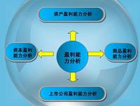 茂佳工业设备制造有限公司盈利能力分析