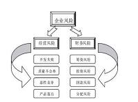 财务风险形成原因及防范—以上海名门锁业公司为例