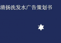 清扬洗发水市场营销计划方案