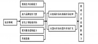 斯瑞泰假发日本出口方案