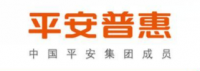 平安普惠公司小额信贷业务分析