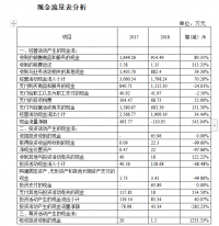 现金流量表及其分析研究——以盐城瑞年化工有限公司为例