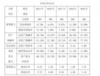 浅谈无锡天际健身有限公司财务风险分析与防范