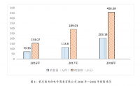 重庆奥韦斯电子商务有限公司跨境电商模式探析