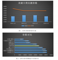 无锡龙湖天璞地产项目营销策略分析   （工商管理论文）