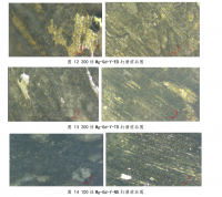 挤压态稀土镁合金腐蚀性能的各向异性研究